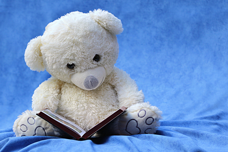 Stuffed bear with an open book