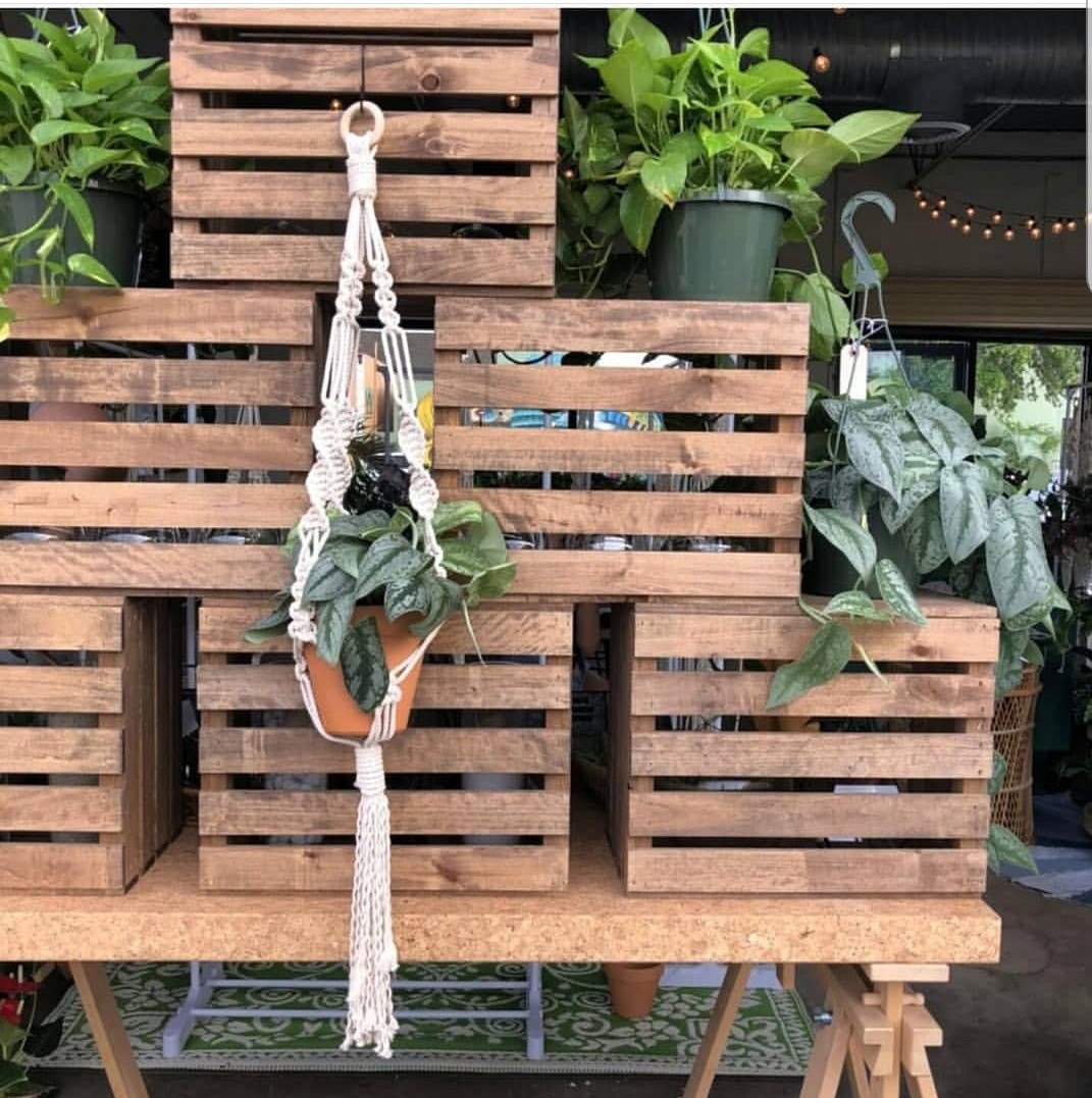 plant hanger