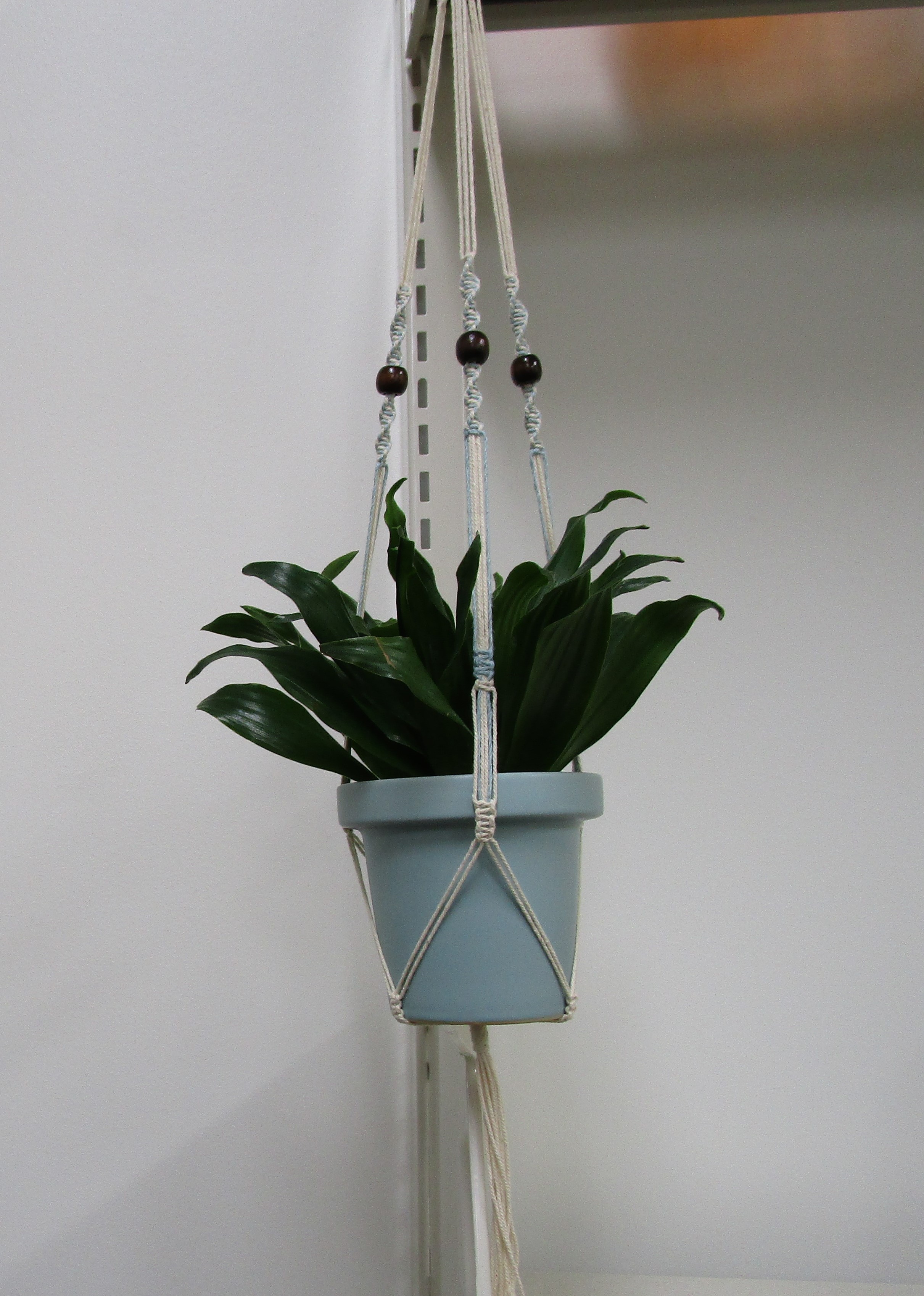 A handmade macrame plant hanger!