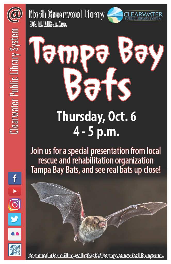 Tampa Bay Bats 