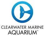 Clearwater Marine Aquarium Logo is a porpoise tail inside of a circle.