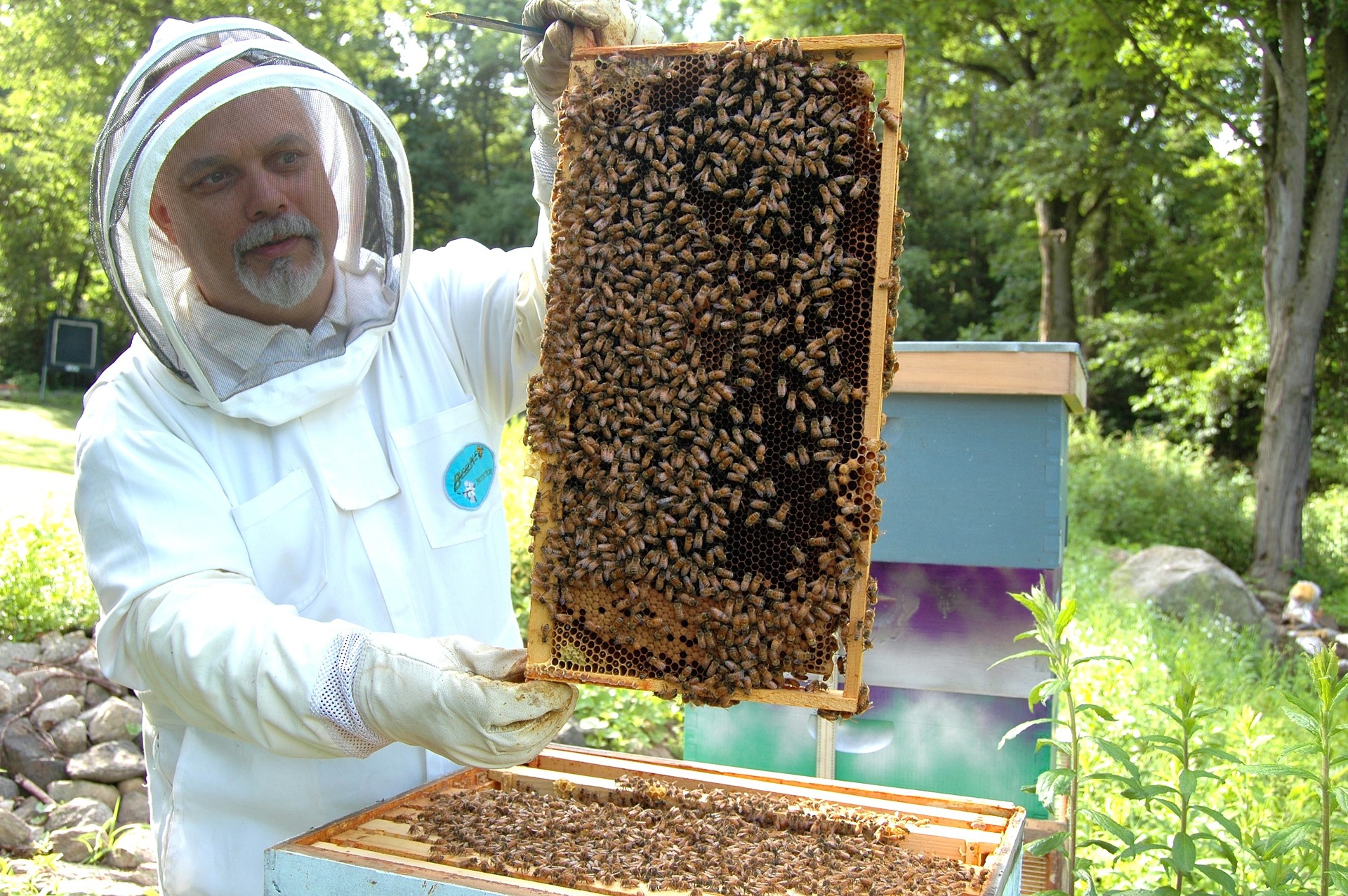 **Bees & Beekeepers