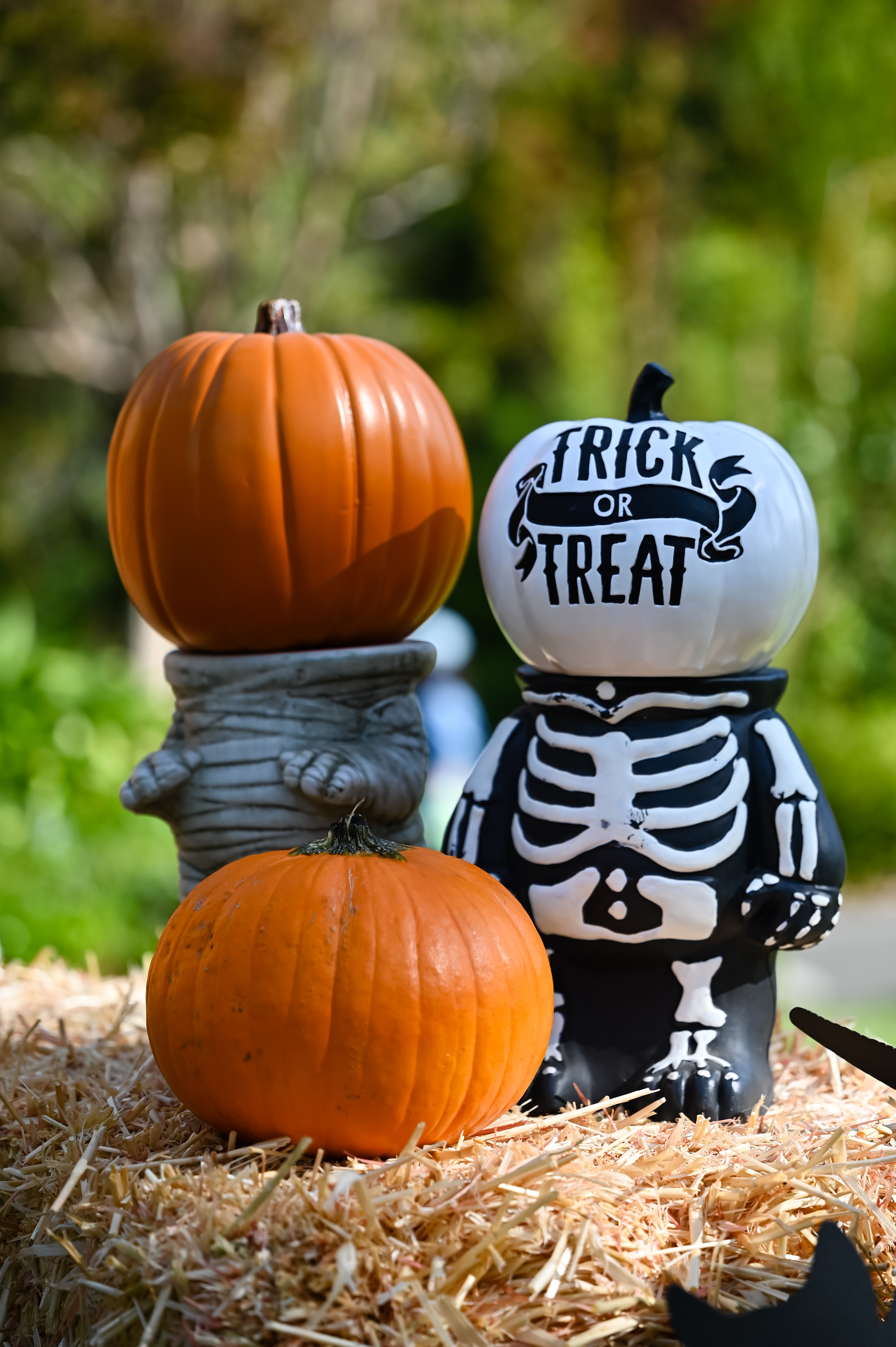 Halloween decorations using pumpkins & skeletons