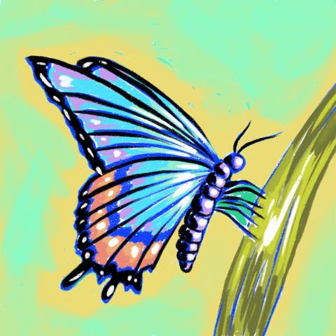 Butterfly Painting