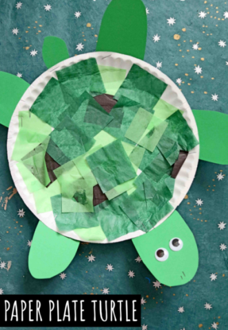 Turtle Craft