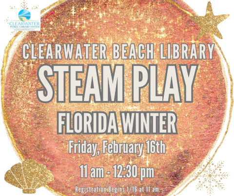 STEAM Play Florida Winter