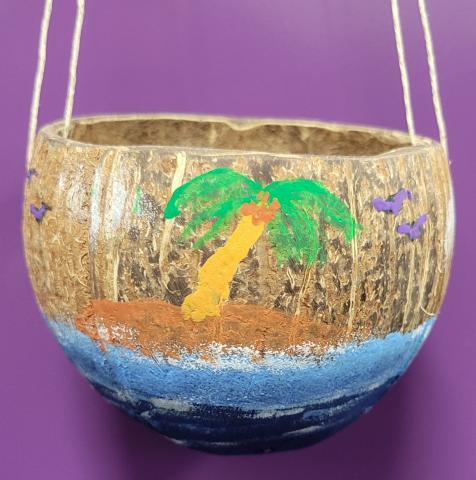 Coconut hanging planter example