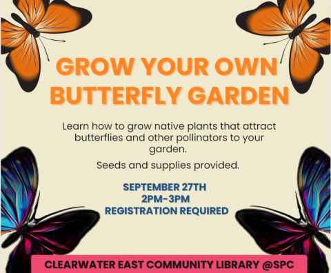Grow Your Own Butterfly Garden!