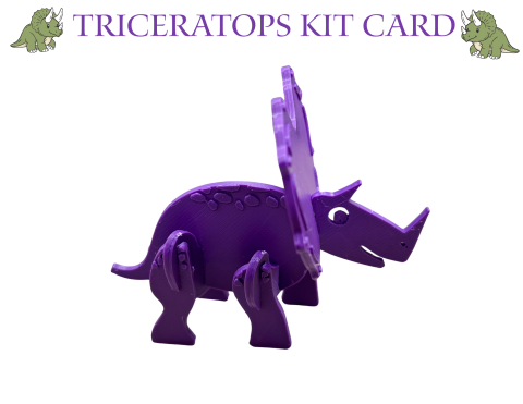 A picture reading TRICERATOPS KIT CARD with a purple triceratops depicted and a green smiling triceratops in the upper left and right hand corners.