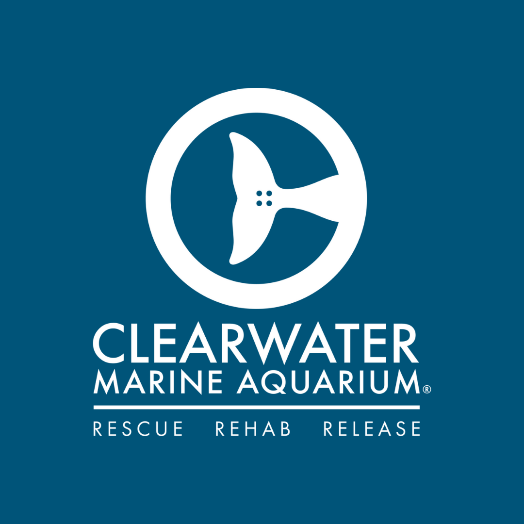 Clearwater Marine Aquarium Logo