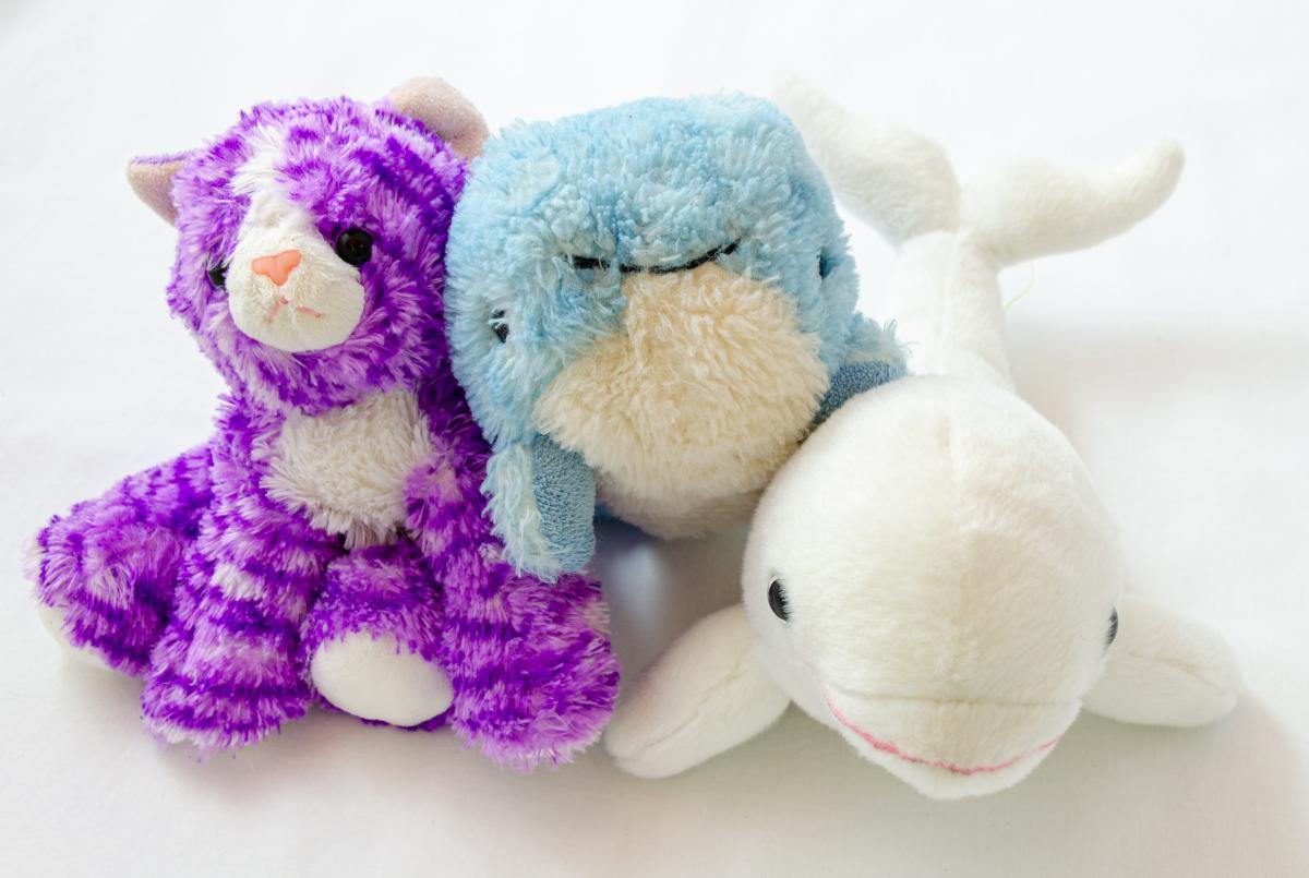 Stuffed animals-photo by Trevor Vannoy on Unsplash