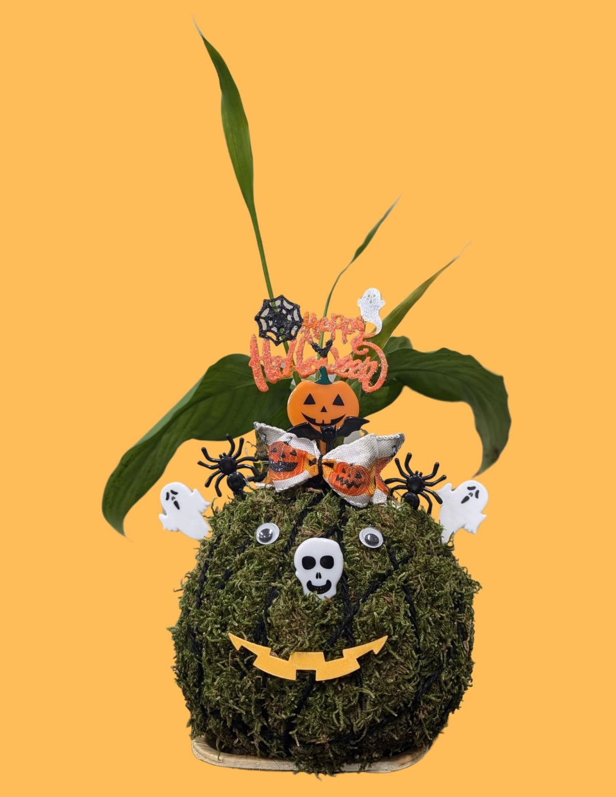 A kokedama decorated for Halloween