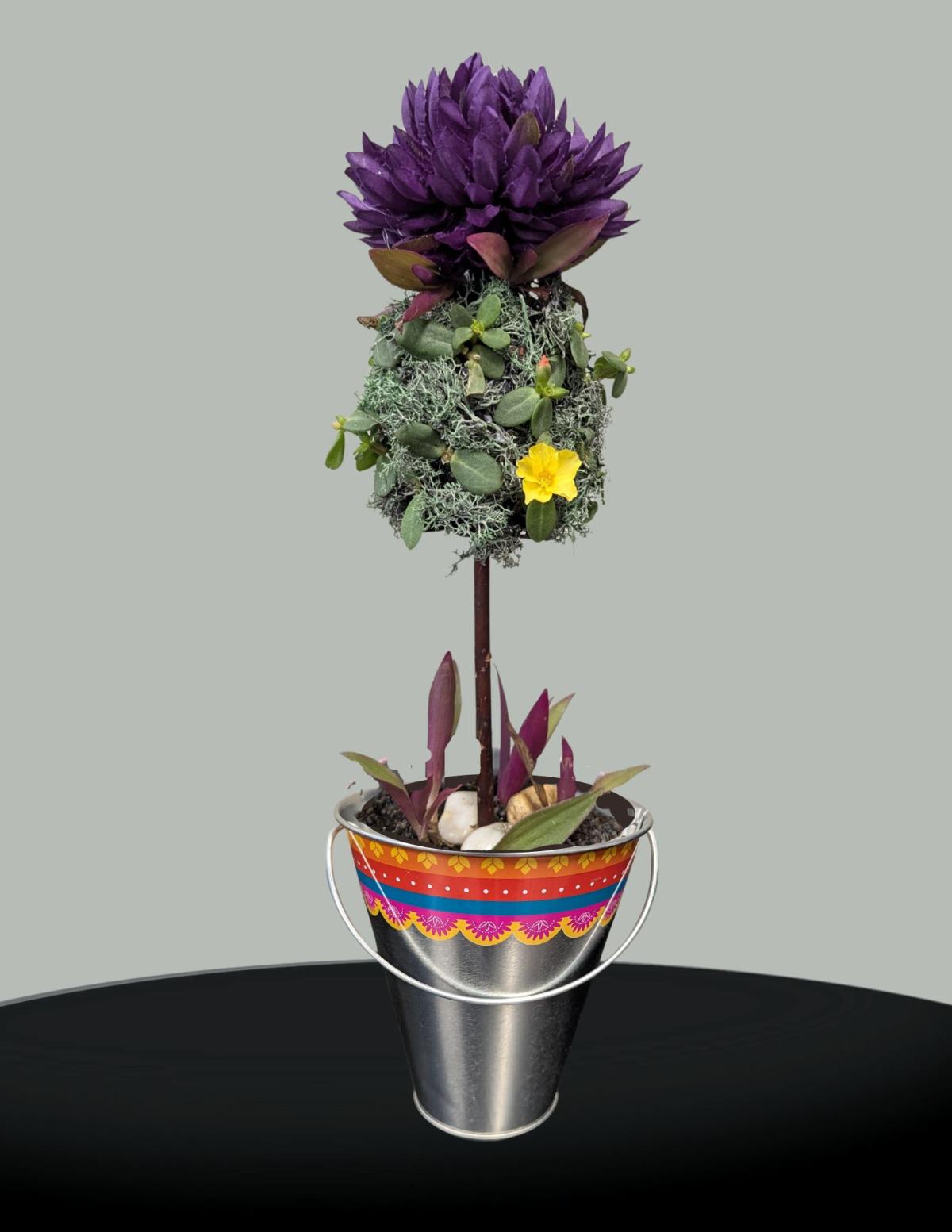 Mini Topiary in a bucket