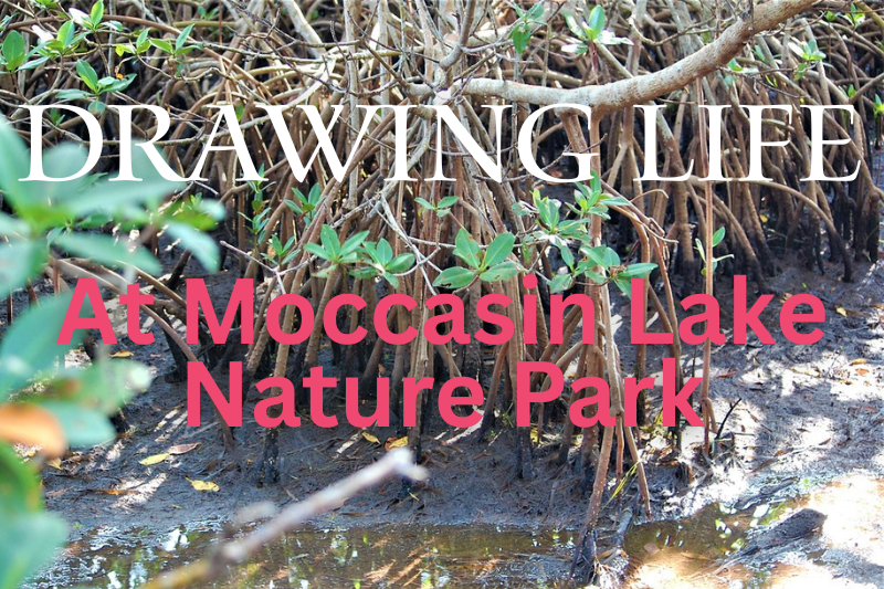 Drawing Life Drawing Class At Moccasin Lake Park